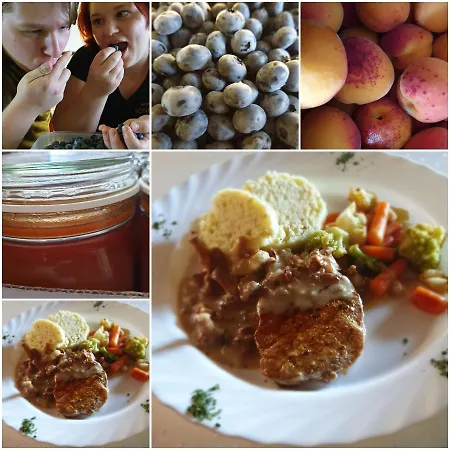 Sonnenhof Motorradkrauk Pensjonat 3*