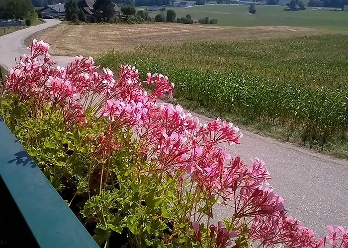 Sonnenhof Motorradkrauk