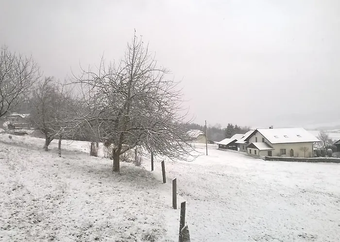 Konukevi Sonnenhof Motorradkrauk