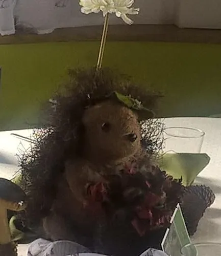 Sonnenhof Motorradkrauk