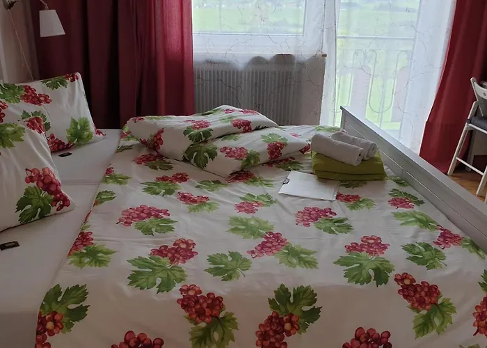 招待所 Sonnenhof Motorradkrauk 乌尔里希斯贝格